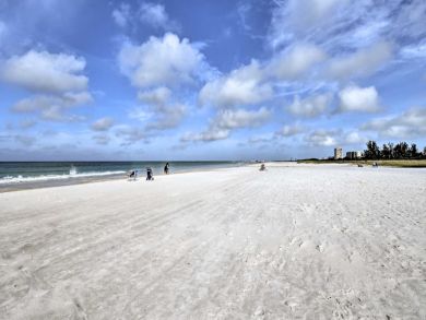 Sarasota Home 933567
