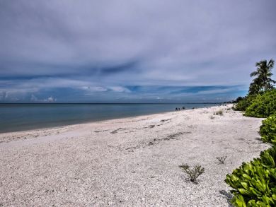 Bonita Springs Home 933568