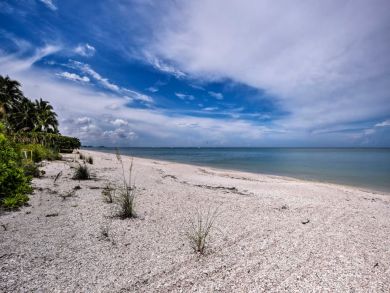 Bonita Springs Home 933568