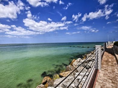 Clearwater Home 933578