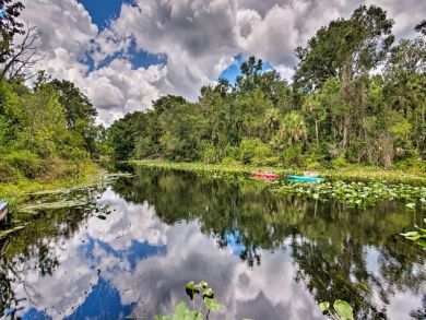 Orlando Home 933599