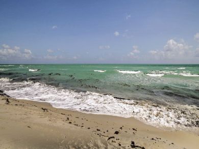 Miami Beach Home 933651