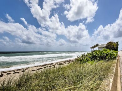 Palm Beach Home 933686 Palm Beach Home 933686