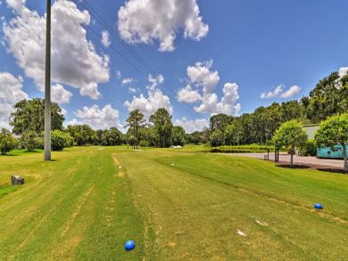 Orlando Home 933692