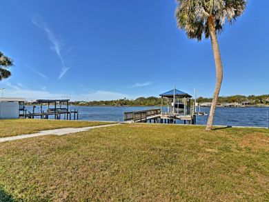 Tampa Home 933740