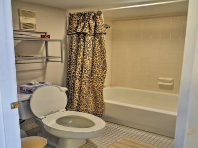 Tampa Home 933743