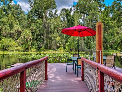 Orlando Home 933776