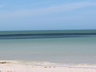 Indian Shores Ai Home 933778