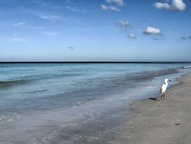 Indian Shores Ai Home 933784
