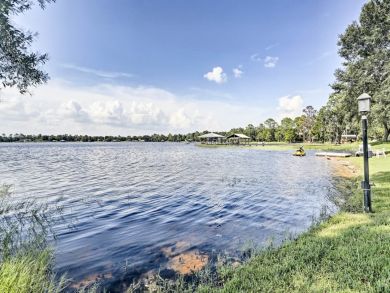Orlando Home 933802