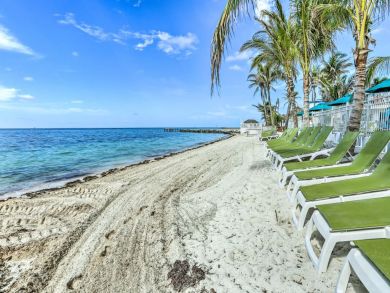 The Florida Keys Home 933822