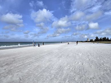 Sarasota Home 933836