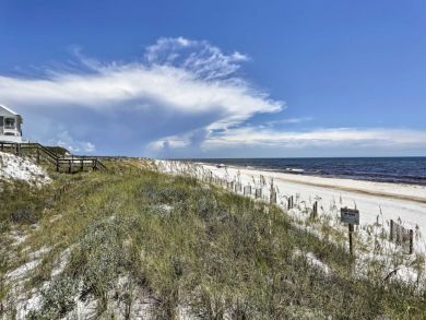 Beaches Of South Walton Home 933853