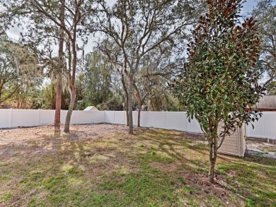 Orlando Home 933855 Orlando Home 933855