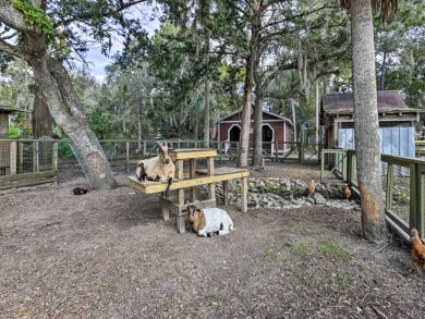 Other Cities  Florida Home 933876