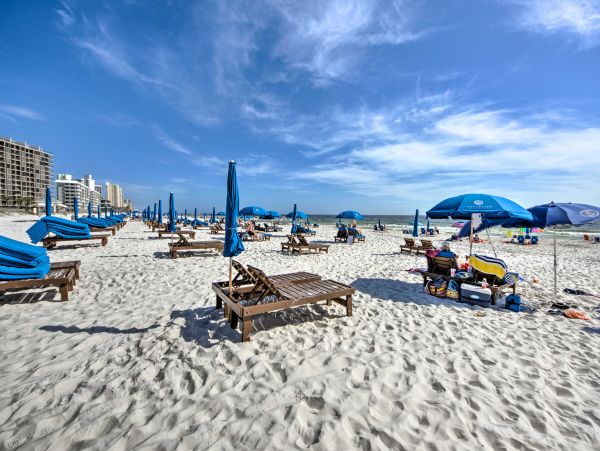 Contemporary Chic Beachfront Condo Three bedroom