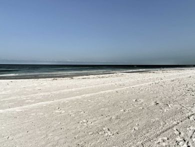 Clearwater Home 933938