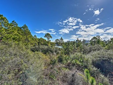 Beaches Of South Walton Home 933947