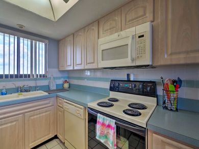 Tampa Home 934009