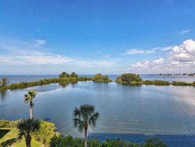Tampa Home 934009