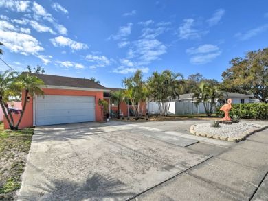 St. Petersburg Home 934122