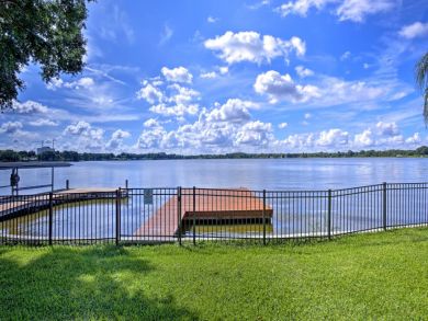 Tampa Home 934189
