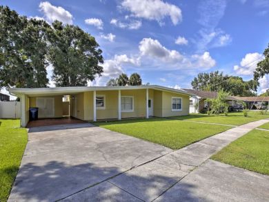 Tampa Home 934189