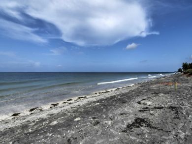 Manasota Key Home 934223