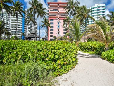 Miami Beach Home 934237
