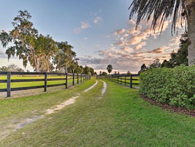 Orlando Home 934314