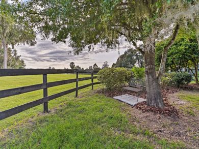 Orlando Home 934314