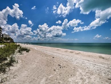 Bonita Springs Home 934367