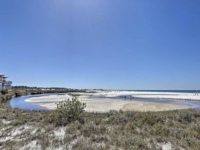 Beaches Of South Walton Home 934417