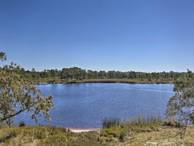 Beaches Of South Walton Home 934417