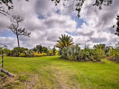Fort Myers Home 934491 Fort Myers Home 934491