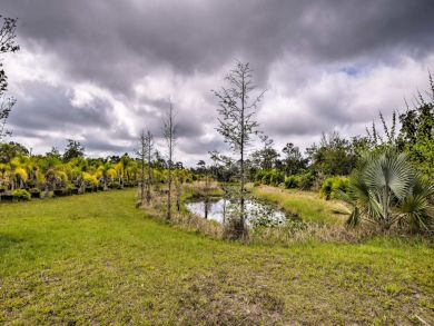 Fort Myers Home 934491 Fort Myers Home 934491