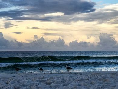 Panama City Beach Home 934523