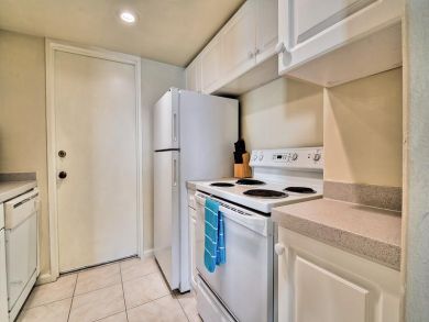 Clearwater Condo 934934
