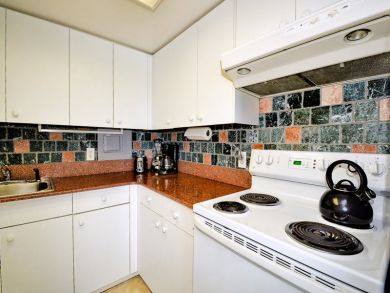 Clearwater Condo 934937