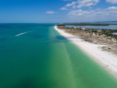 Clearwater Condo 934937