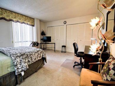 Clearwater Condo 934950