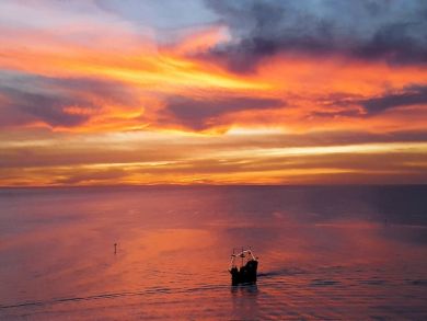 Clearwater Condo 934998