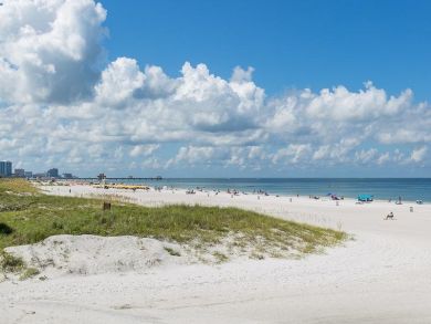 Clearwater Condo 935041