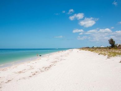 Clearwater Condo 935052