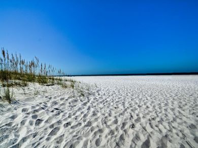 Clearwater Condo 935070