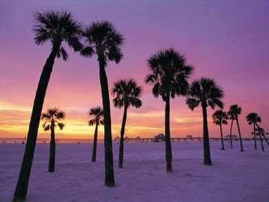 Water Views Clearwater Vacation Studio