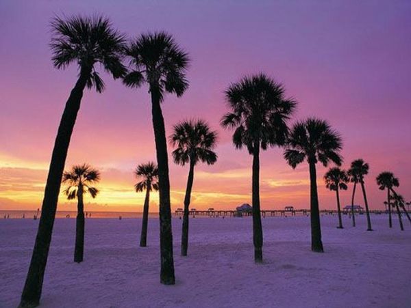 Clearwater Beach Studio Sleeps Four Guests with Bay Views