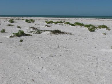 Clearwater Home 935086