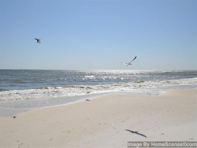 Gulf-Front Bliss with Sweeping Views on Okaloosa Island
