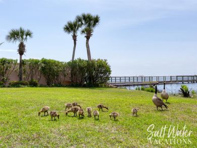 Okaloosa Island Fort Walton Beach Home 935130